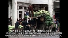 老相册：广州记忆，1979年