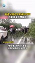 高速公路边大树被风吹倒，司机自发清理路障，拍摄者:路障已清理 没有车辆和人员受伤