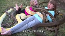 6米多长蟒蛇肚子鼓胀，引一群人围观，蟒蛇吃了什么？