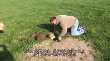 男子在后院发现一窝小野兔，朝小家伙打招呼，下秒要暖哭了
