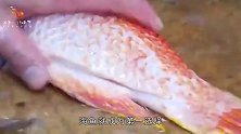 日本独创“活鱼切片”，切肉时活鱼痛的打滚，日本人：它没痛觉的