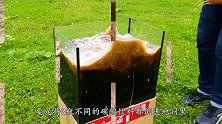 将3种碳酸饮料倒进地洞中，再扔进曼妥思会发生什么？场面太炫酷