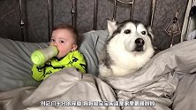 宝宝不想睡觉，狗狗非要拉着宝宝去睡觉，于是就发生了这样的一幕