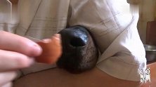主人蒙住杜宾的眼睛，喂它吃东西，杜宾的反应也太狡猾了