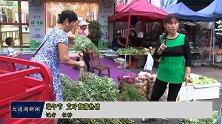 大通湖新闻：端午节，艾叶菖蒲热销