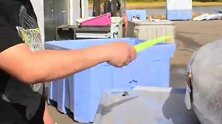蓝鳍金枪鱼如何分等级？
