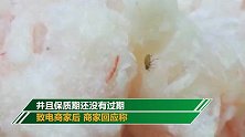 速冻食品吃一半才发现全是虫 厂家坚称产品无问题：开封后爬进去