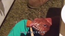 30岁女子硬是不谈恋爱，母亲强行推开房门，结果“傻眼”了！
