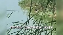 硬核降温！男子钓鱼下水降温仅露头部，惊呆其他钓鱼佬：他太勇了