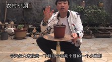小小黄荆小小抱石，小朋的这棵双根黄荆太个性了，大家看看怎么样