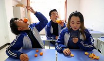 班级吃橘子大赛，二浪吃的小橘子为什么会让他获得冠军？真逗！