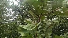 雨后的空气,带着泥土和芳草的气息,沁入心脾,另人神清气爽