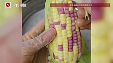 女子分享自制“玉米馒头”，能剥皮，玉米颗粒分明……