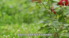 国家终于出手了！3月1日起大动作，老百姓能少还房贷了？