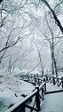 一场春雪，让长白山回到雪白的童话世界