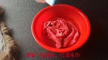 衣服毛领应该这样洗，只需5分钟不用水洗，洗的干净还蓬松有型。