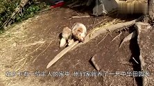 在狗狗生命即将结束时，主人解开拴它8年的绳子，狗狗竟落泪了！