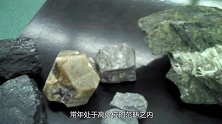 金丝楠木比黄金还值钱？老外不信一刀切开后：大开眼界！
