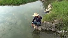 小伙用竹子钓野生河蚌，一钓一个准，头一次钓到“河蚌王”真过瘾