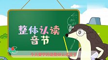 葫芦娃闯关学拼音：整体认读音节 唱跳学拼音