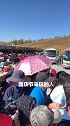 想来喀纳斯湖玩的小伙伴，做好排队的准备哦