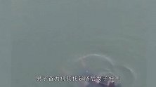 一女子“跳江”后男子施救，2人紧紧搂着“下沉”双双失踪