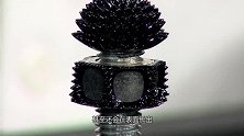 宇航局发明神奇液体，一遇磁场就“长刺”，做成玩具后遭到爆抢！