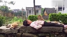 农村娃在野外睡着了，小狗偷偷上去亲一口，多么温馨的画面！