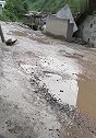 你还来个金鸡独立，鸡都服了