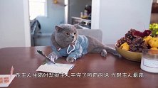 小浣熊发现用爪子擦玻璃效率低，找了一张帕子，保姆快要失业了吧