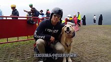 主人带金毛一起滑翔，狗狗全程满是恐惧，落地那一刻终于活过来了