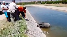 废弃蓄水池传出异响，男子走近看清后，赶紧跳了进去