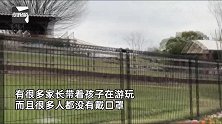 日本游乐园照常开门，公园内人们聚会赏樱花，多数人不戴口罩