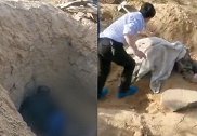 “79岁母亲被扔墓坑活埋”案情通报：挖掘中途听见呼救声