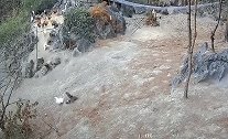 事实证明家里没男人是不行的