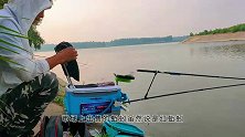 蚯蚓钓大鱼，真正的高手给蚯蚓加料，效果明显，大鱼排着队咬钩