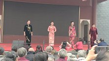 严凤英故乡几位美女演唱黄梅戏《女驸马》“手提羊毫喜洋洋”