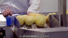 揭秘英国大饺子超级工厂，用这种方法，每天可以生产百万个大饺子