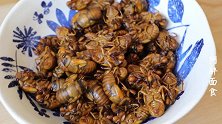 农村人来贵客才舍得吃的菜，知了猴，比虾还好吃，这样做太好吃了
