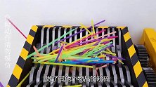 离子球放入粉碎机后，老外接下来的举动，直接引起全民公愤！