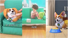 短腿小柯基：MOCO，你拿狼牙棒是认真的吗？