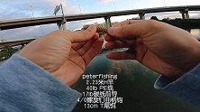 peterfishing ，高架桥下抛竿，钓获大嘴鲈！