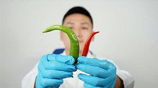 为什么爱吃辣的人皮肤好？1500倍探索辣椒细胞