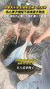 内蒙古十岁女孩失足掉入污水井，热心男子倒挂下井将孩子救出！网友救的不止是一个孩子 是一个家庭！