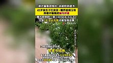 台湾45岁男子独自赡养重病父母遭诈骗，一家三口死在家中
