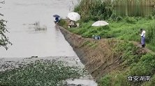 夏天岔道河里钓里还是外好？看钓友岔道口挥杆就等巨物来袭明白了