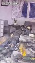 拆弹专家2首映礼现场，实景模型超吸睛！