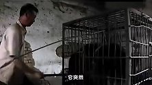 活熊取胆汁，老了还要杀掉卖肉，太残忍了，这部纪录片只敢看一遍