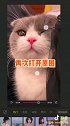 猫猫微笑教程 怎么让猫猫笑起来！一起学习一下吧～