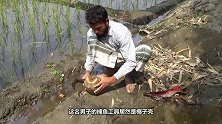 男子将河里的棕榈树捞来，将树洞中的东西掏出，发现一切都值了
